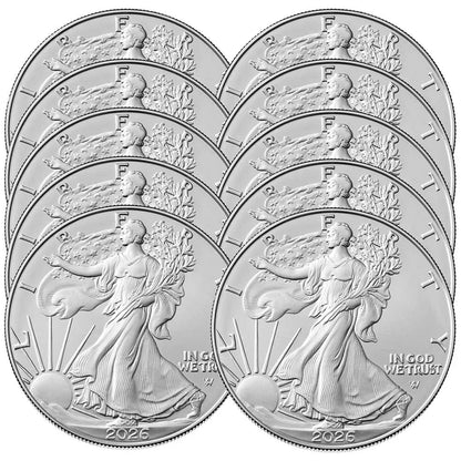 🚨🔥🇺🇸 Limited Edition!🏆2026 American Silver Eagle Proof Coin